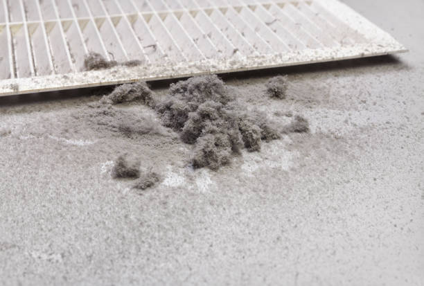 Best Best Air Duct Cleaning Company  in Lewisport, KY