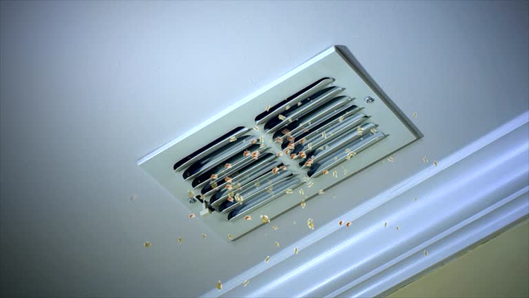 Best Air Duct Cleaning Near Me  in Lewisport, KY