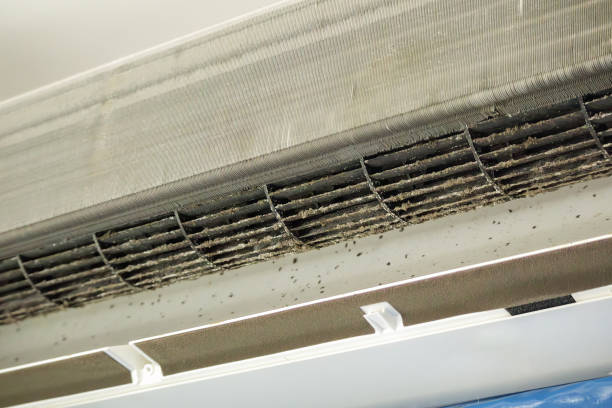 Best Air Duct Cleaning Company Near Me  in Lewisport, KY